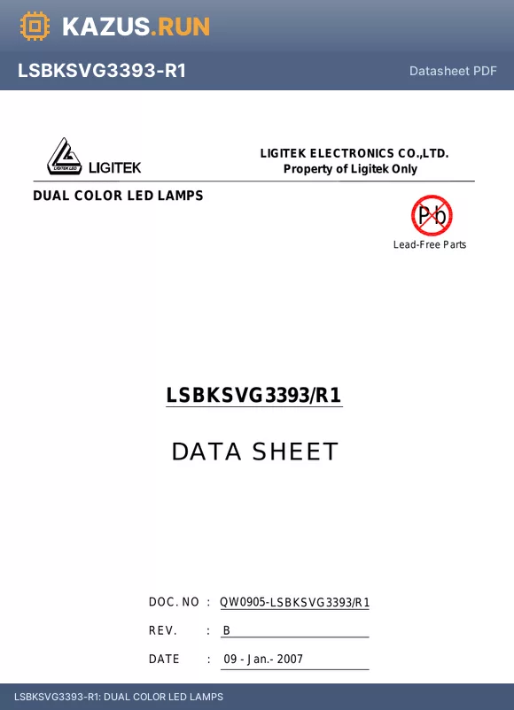 LSBKSVG3393-R1 datasheet - DUAL COLOR LED LAMPS