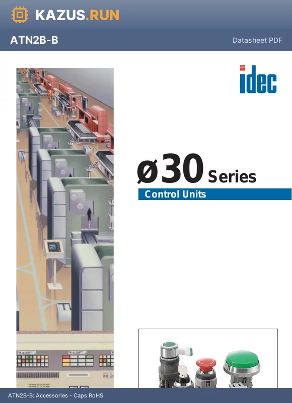 ATN2B-R datasheet - Accessories - Caps RoHS